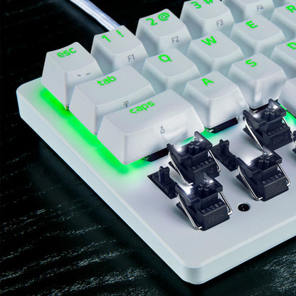 Huntsman v3 Pro Mini